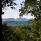 194 Stoney Creek Terrace, Dahlonega, GA 30533 ID:13099260