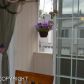 5563 Sapphire Loop, Anchorage, AK 99504 ID:12963309