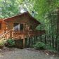 101 Smith Hill Road, Blue Ridge, GA 30513 ID:13129387