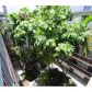 750 NE 64 ST # B309, Miami, FL 33138 ID:13070240