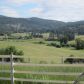 995 Townsend Sackman Rd, Colville, WA 99114 ID:13090070