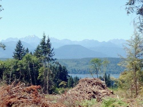 -Lot 24 Rhododendron Lane, Poulsbo, WA 98370