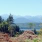 -Lot 24 Rhododendron Lane, Poulsbo, WA 98370 ID:13141717