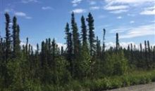 10645 S Lewis Loop Wasilla, AK 99654