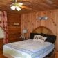 81 Turkey Creek Road, Ellijay, GA 30536 ID:13125200