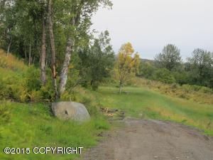 Lot 21 Kestrel Circle, Homer, AK 99603