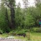 7060 N Sitze Road, Wasilla, AK 99654 ID:12889532