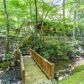 1091 Briar Cove Road, Morganton, GA 30560 ID:13148783