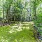 1091 Briar Cove Road, Morganton, GA 30560 ID:13148787