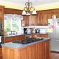 4299 Little Mountain Road, Dahlonega, GA 30533 ID:13175806