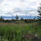 Tr 2 Frontier Lane, Homer, AK 99603 ID:13051928