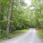 387 Arp Road, Mineral Bluff, GA 30559 ID:13143730