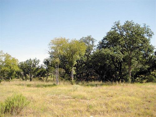 Lot 1 Meridian, Buchanan Dam, TX 78609