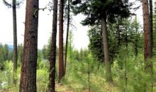 LOT 86 Majestic View Drive Mccall, ID 83638