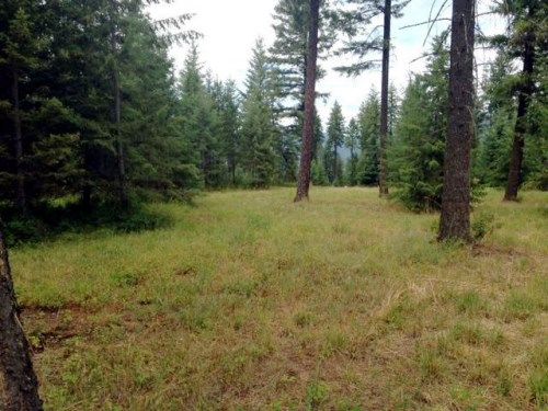 LT 5 BLK 2 Abeja RD, Rathdrum, ID 83858