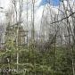 2801 N Mosier Court, Wasilla, AK 99654 ID:12386783