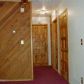 3311 N Lucille Street, Wasilla, AK 99654 ID:13177186