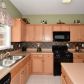 1297 Misty Valley Court, Lawrenceville, GA 30045 ID:13006131