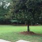 295 Blackrock Trace, Alpharetta, GA 30004 ID:13199629