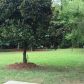 295 Blackrock Trace, Alpharetta, GA 30004 ID:13199630