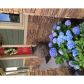 7343 Bird Song Place, Flowery Branch, GA 30542 ID:12996673