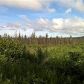 L6 Endlessview Loop, Homer, AK 99603 ID:13211604