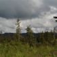 L6 Endlessview Loop, Homer, AK 99603 ID:13211605