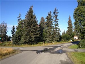 L5 B5 Lakeside Circle, Homer, AK 99603