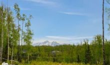 L16 B1 Angela's Drive Wasilla, AK 99654