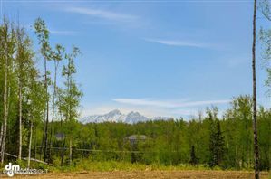 L16 B1 Angela's Drive, Wasilla, AK 99654