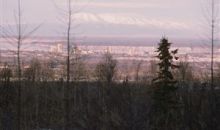 L1 B1 Burning Bush Drive Anchorage, AK 99507