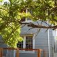 58 Werden Street, Vallejo, CA 94590 ID:13187078