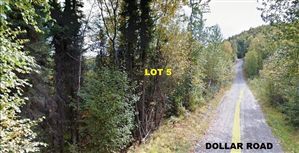 4757 S Dollar Road, Big Lake, AK 99652