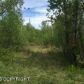 3051 W Riverdell Drive, Big Lake, AK 99652 ID:12777898