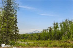 L3 B2 Angela's Drive, Wasilla, AK 99654