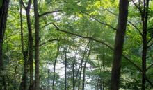 Lot 18 Rock Island Shores Dr Rock Island, TN 38581