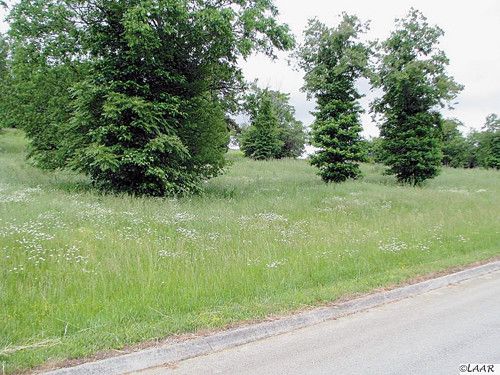 Lot 17 Waterwood Ct, White Pine, TN 37890