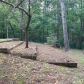 143 Patriot Trail, Dahlonega, GA 30533 ID:13249068