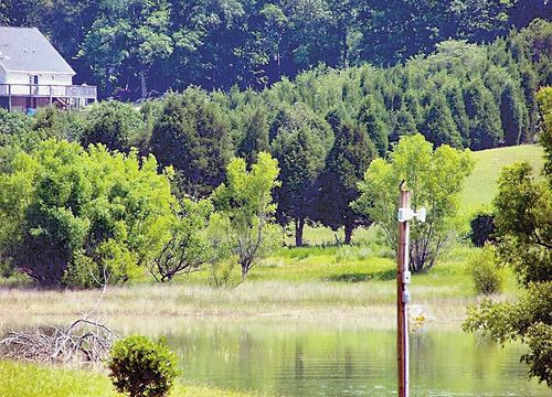 Lot 17 Ted Moore Road, Dandridge, TN 37725