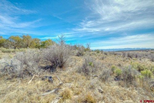 Lot 2 Road 24.4, Cortez, CO 81321