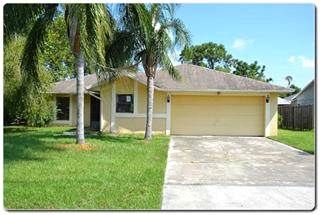 3447 Wilderness Tr, Kissimmee, FL 34746