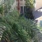 1000 W Horatio St Apt 322, Tampa, FL 33606 ID:13283689