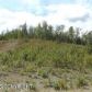 7912 E Matanuska Spur Road, Palmer, AK 99645 ID:13116167