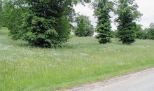 Lot 17 Waterwood Ct White Pine, TN 37890