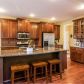 175 Willow Pointe Drive, Dallas, GA 30157 ID:13278941