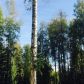 3530 N Emerald Isle Circle, Big Lake, AK 99652 ID:13294373