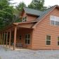 225 Cajun Lane, Ellijay, GA 30540 ID:13289922