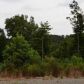 225 Cajun Lane, Ellijay, GA 30540 ID:13289923