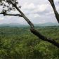 587 Briar Creek Drive, Ellijay, GA 30540 ID:13269429