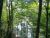 Lot 18 Rock Island Shores Dr Rock Island, TN 38581